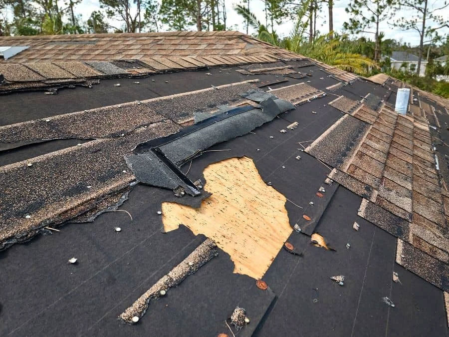 v5kpl51i - Kempthorne Roofing & Construction image | Kempthorne Roofing & Construction
